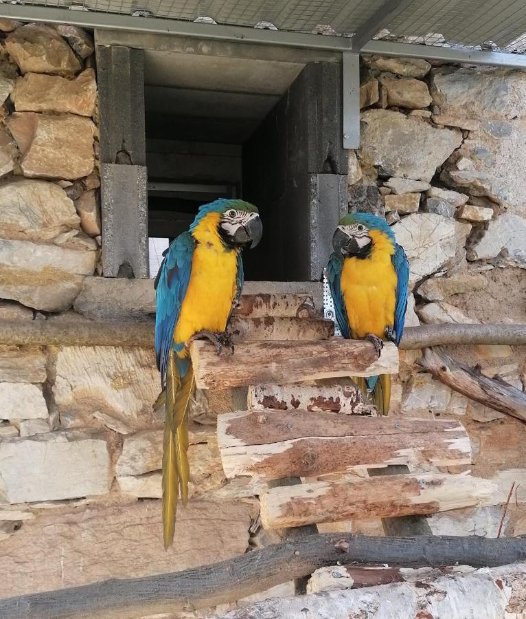 Chaloupka U Montyho Villa Vavrinec  Dış mekan fotoğraf